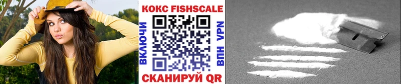 Cocaine FishScale  МЕГА ССЫЛКА  Кемерово 