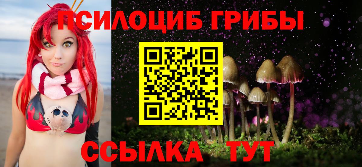 Кемерово  Галлюциногенные грибы прущие грибы  Вход с VPN  Псилоцибиновые грибы Magic Shrooms 