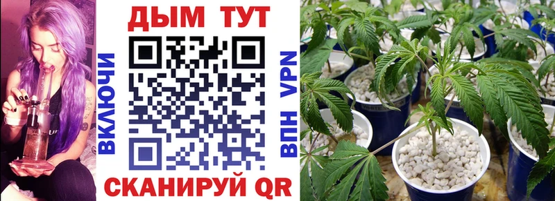 Марихуана Bruce Banner Кемерово